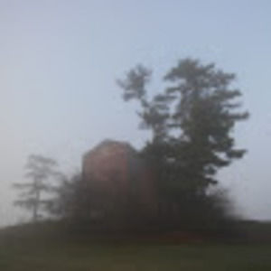 Meet your Posher, Bird